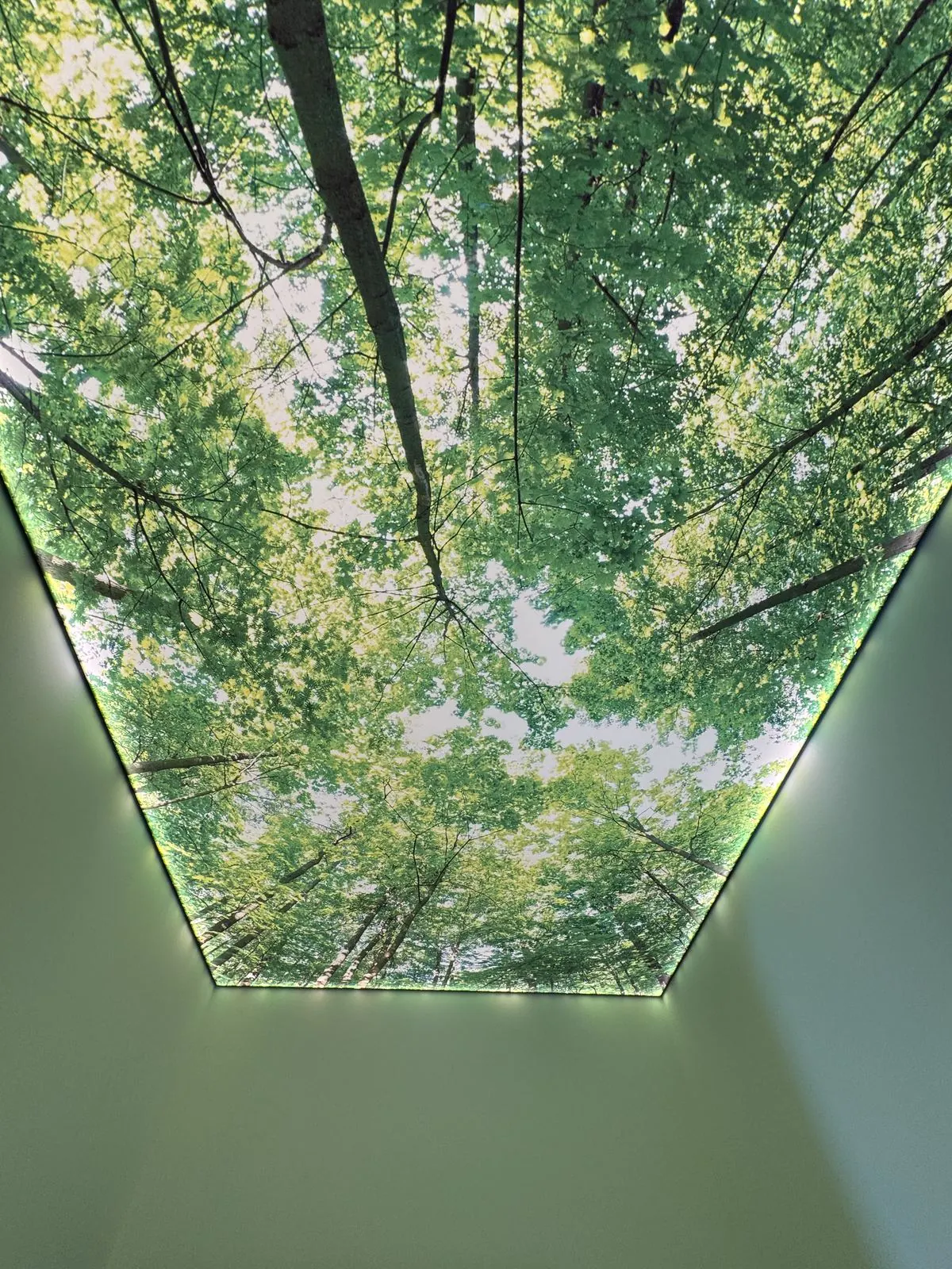 Beleuchtete Spanndecke mit gedrucktem Waldmotiv
